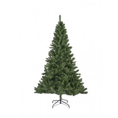 Monarch pine 150cm Monarch pine 150cm